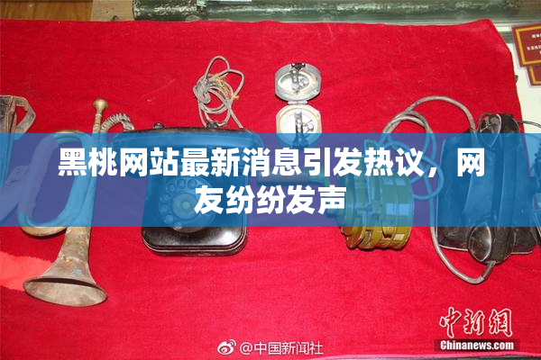 黑桃网站最新消息引发热议，网友纷纷发声