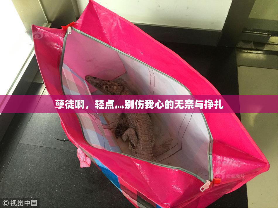 孽徒啊，轻点灬别伤我心的无奈与挣扎