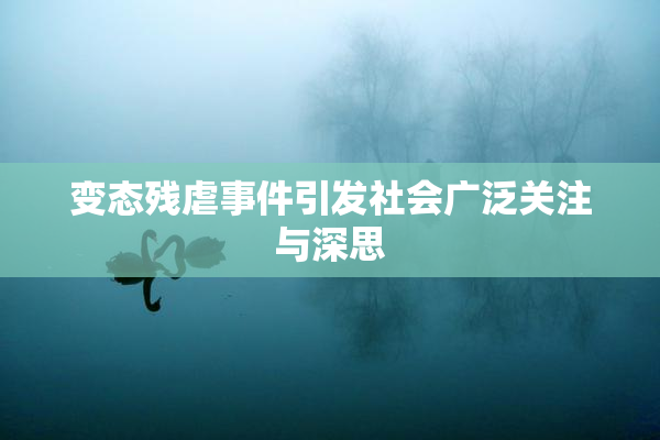 变态残虐事件引发社会广泛关注与深思