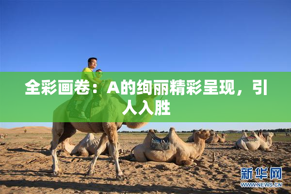 全彩画卷：A的绚丽精彩呈现，引人入胜