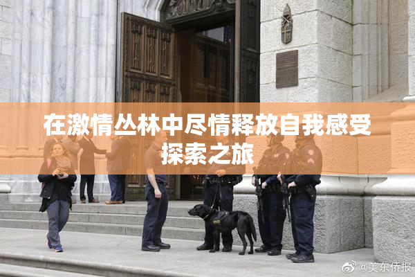 在激情丛林中尽情释放自我感受探索之旅