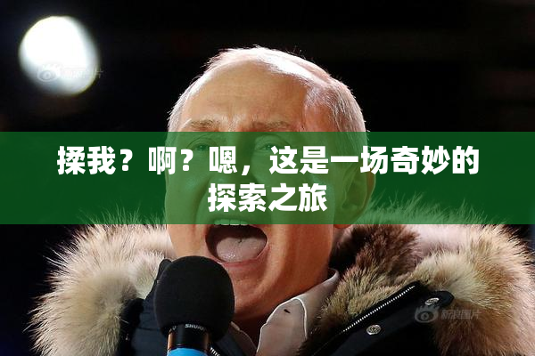 揉我？啊？嗯，这是一场奇妙的探索之旅