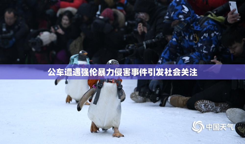 公车遭遇强伦暴力侵害事件引发社会关注