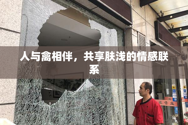 人与禽相伴，共享肤浅的情感联系