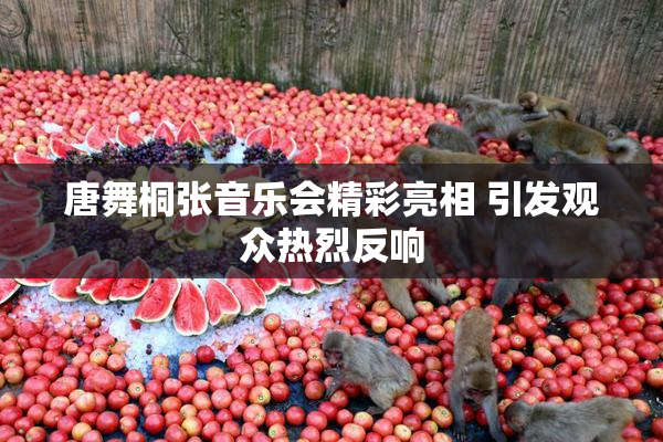 唐舞桐张音乐会精彩亮相 引发观众热烈反响