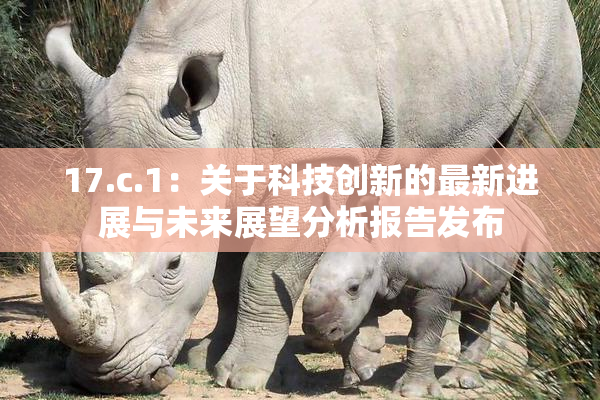 17.c.1：关于科技创新的最新进展与未来展望分析报告发布