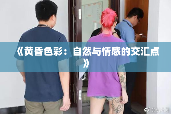 《黄昏色彩：自然与情感的交汇点》