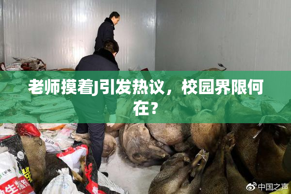 老师摸着J引发热议，校园界限何在？