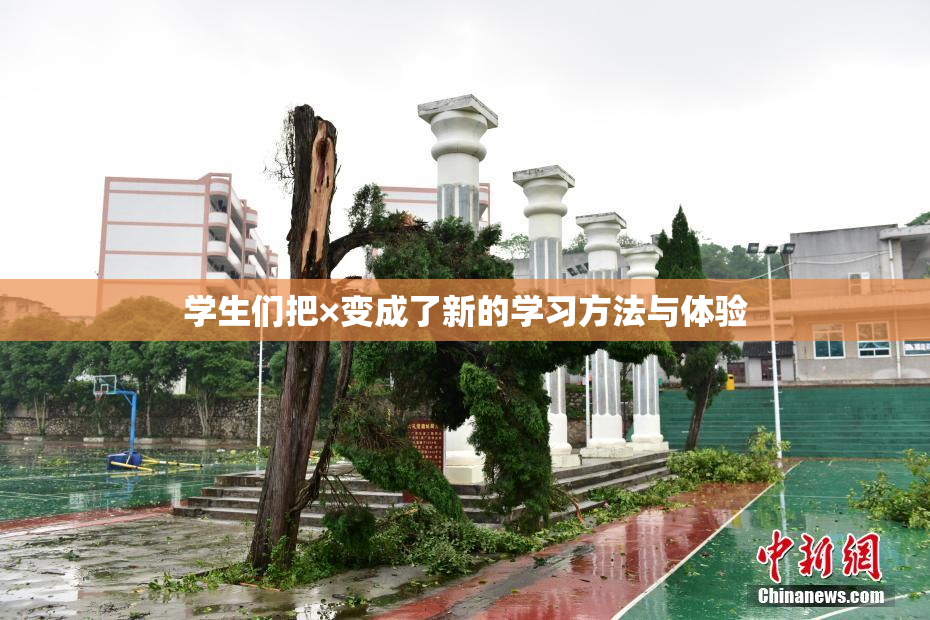 学生们把×变成了新的学习方法与体验