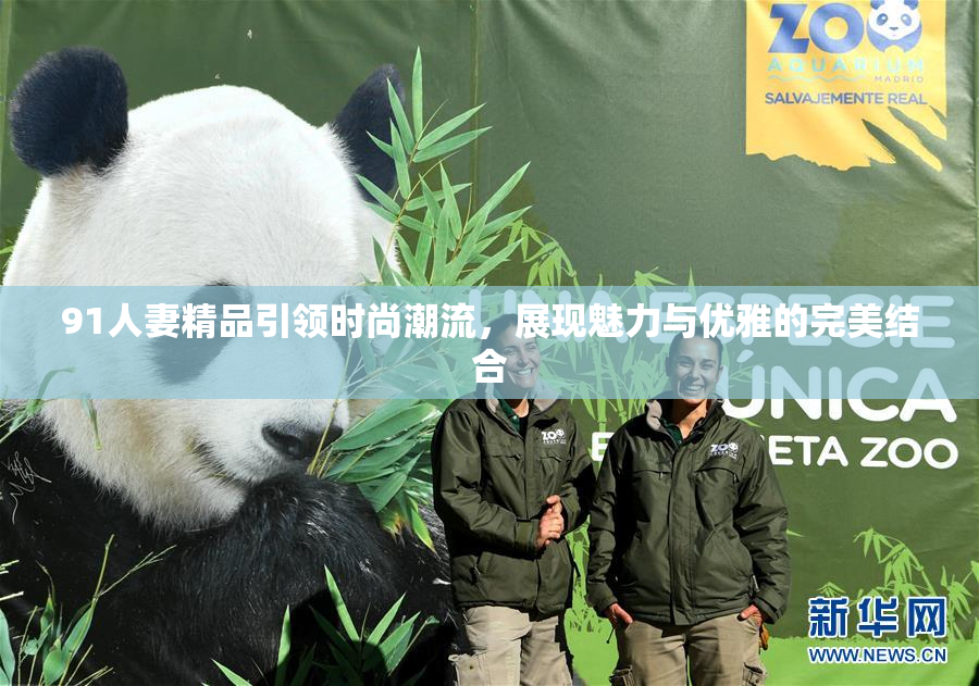 91人妻精品引领时尚潮流，展现魅力与优雅的完美结合