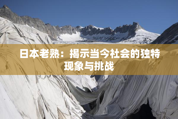 日本老熟：揭示当今社会的独特现象与挑战
