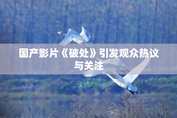 国产影片《破处》引发观众热议与关注