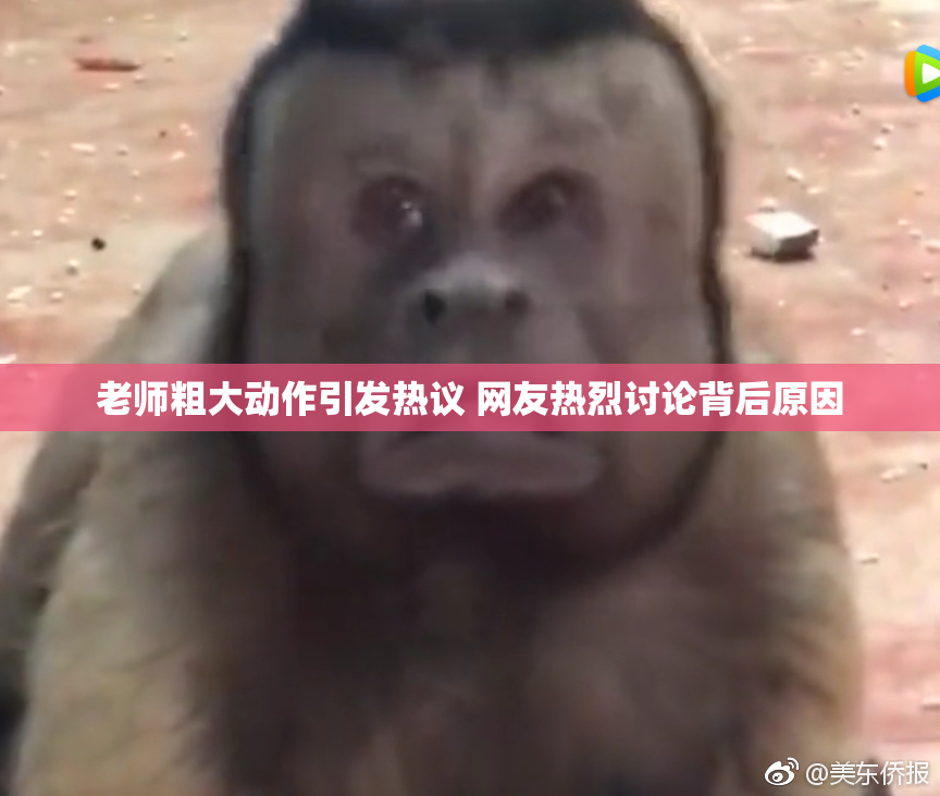 老师粗大动作引发热议 网友热烈讨论背后原因