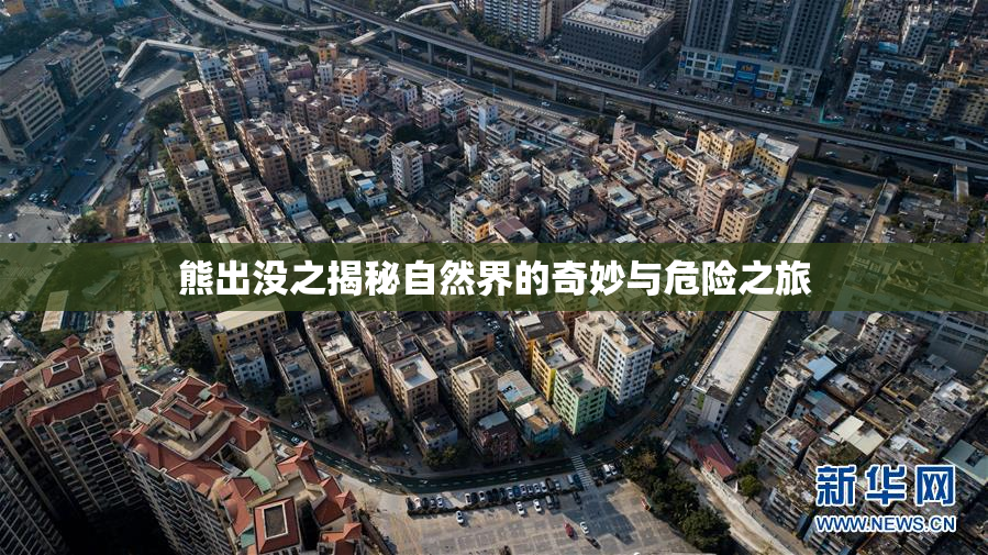 熊出没之揭秘自然界的奇妙与危险之旅