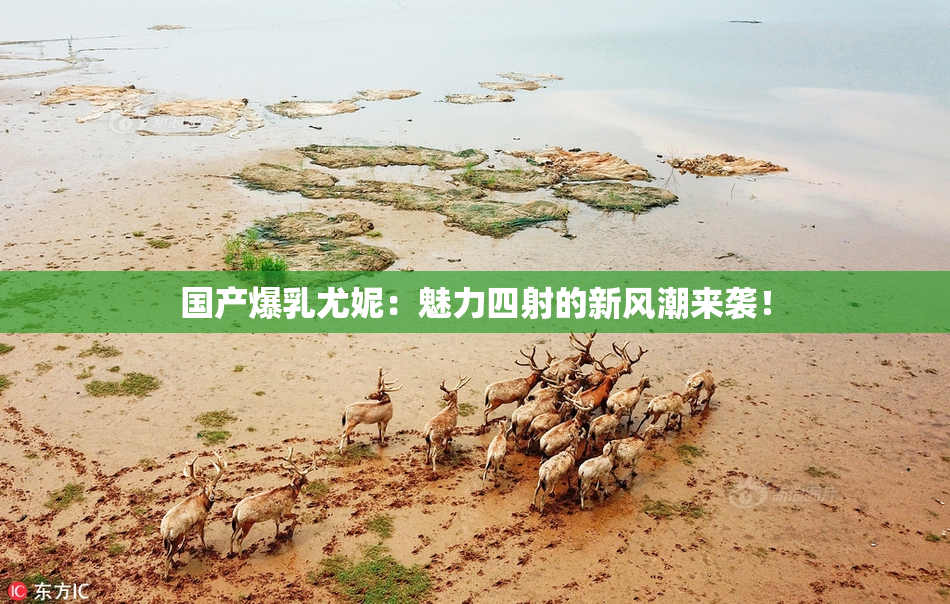国产爆乳尤妮：魅力四射的新风潮来袭！