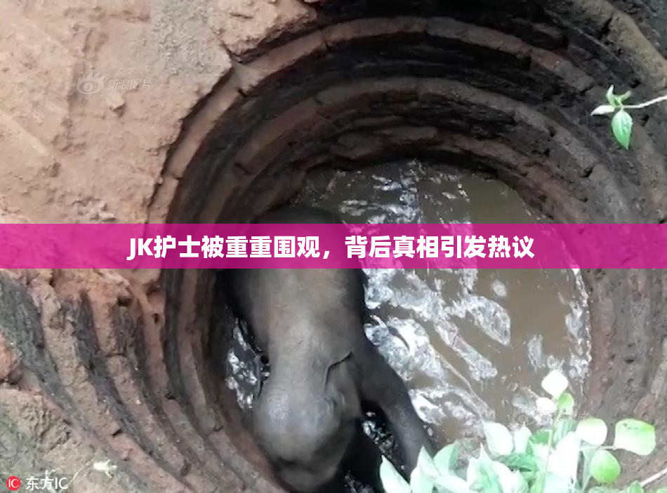 JK护士被重重围观，背后真相引发热议