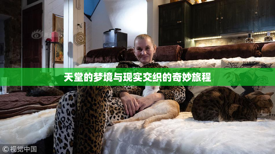 天堂的梦境与现实交织的奇妙旅程
