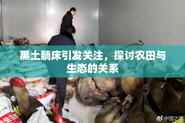 黑土躺床引发关注，探讨农田与生态的关系