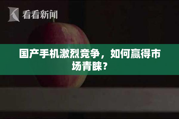 国产手机激烈竞争，如何赢得市场青睐？