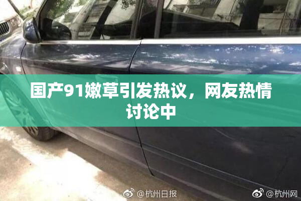 国产91嫩草引发热议，网友热情讨论中