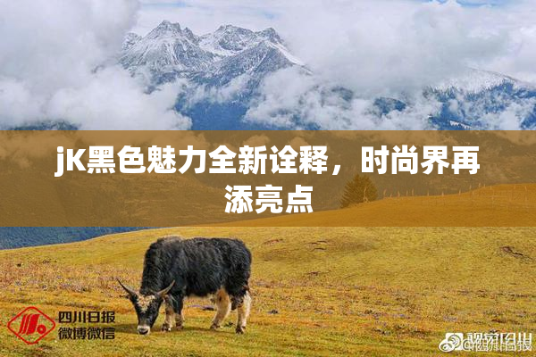 jK黑色魅力全新诠释，时尚界再添亮点