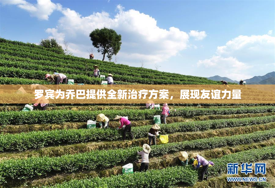 罗宾为乔巴提供全新治疗方案，展现友谊力量