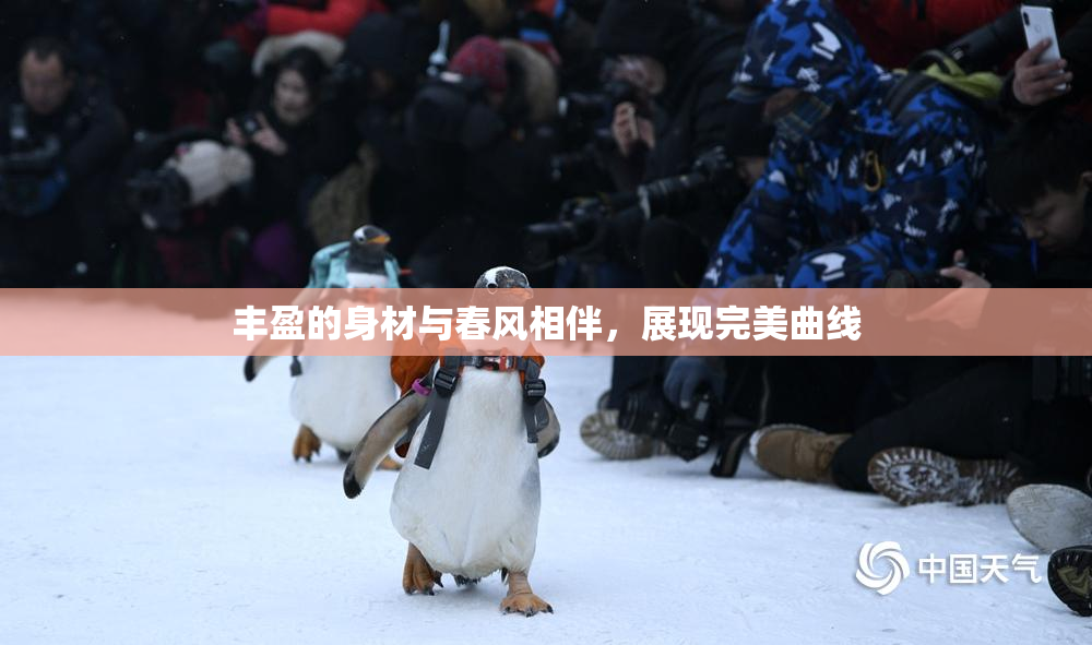 丰盈的身材与春风相伴，展现完美曲线