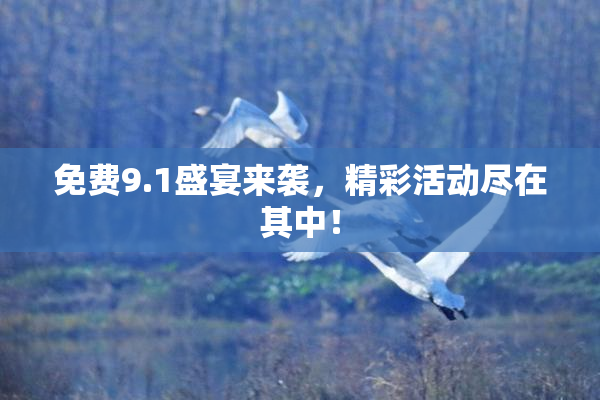 免费9.1盛宴来袭，精彩活动尽在其中！