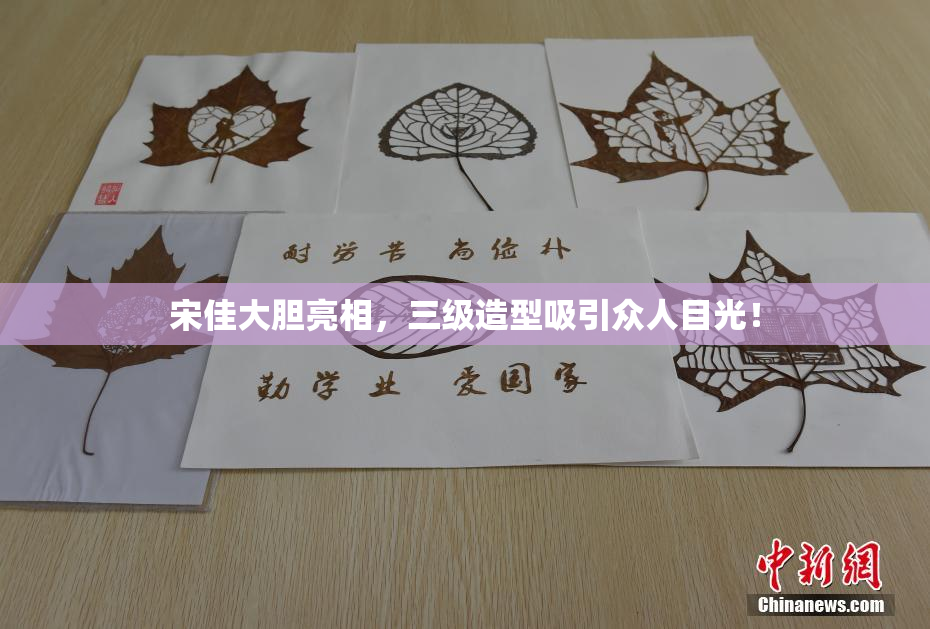 宋佳大胆亮相，三级造型吸引众人目光！