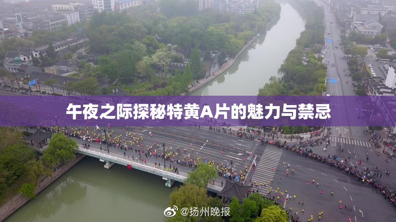 午夜之际探秘特黄A片的魅力与禁忌