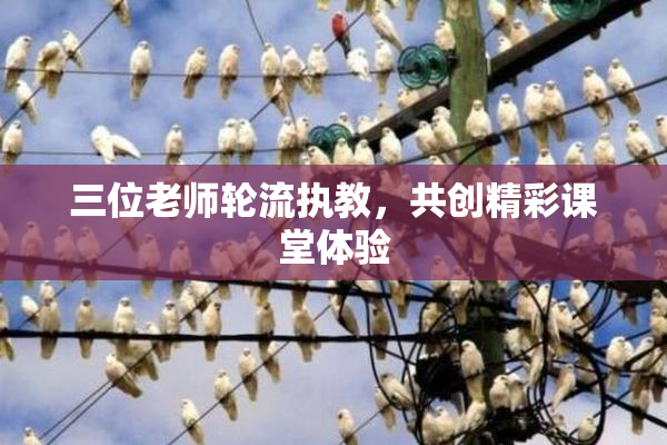 三位老师轮流执教，共创精彩课堂体验