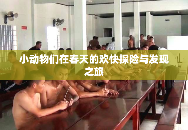 小动物们在春天的欢快探险与发现之旅