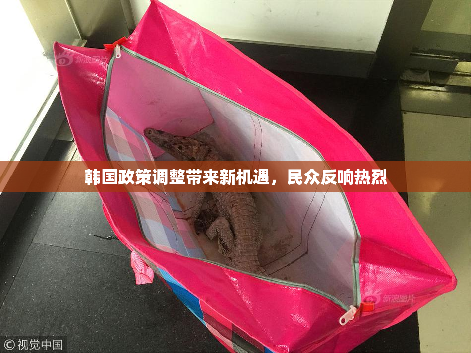 韩国政策调整带来新机遇，民众反响热烈