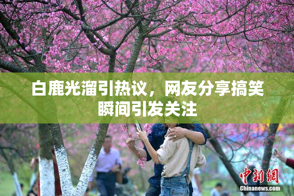 白鹿光溜引热议，网友分享搞笑瞬间引发关注