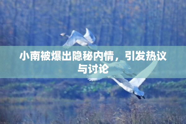 小南被爆出隐秘内情，引发热议与讨论