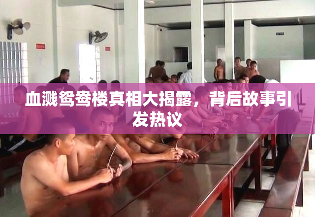 血溅鸳鸯楼真相大揭露，背后故事引发热议