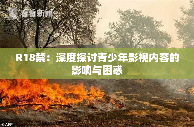 R18禁：深度探讨青少年影视内容的影响与困惑