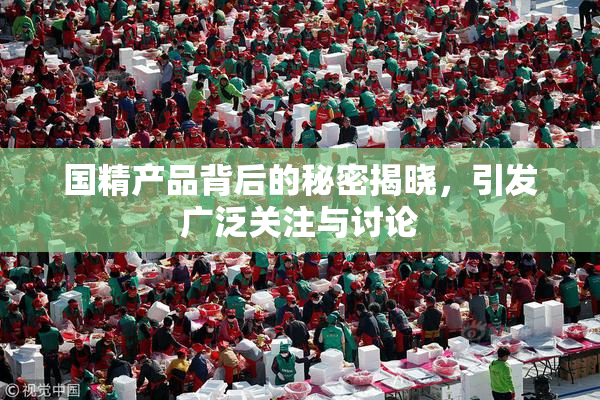 国精产品背后的秘密揭晓，引发广泛关注与讨论