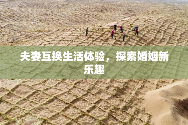 夫妻互换生活体验，探索婚姻新乐趣