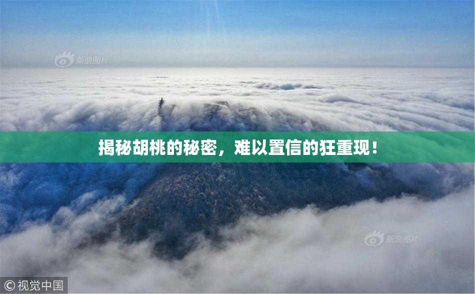揭秘胡桃的秘密，难以置信的狂重现！