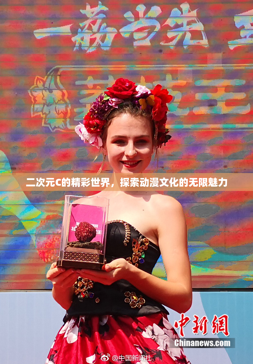 二次元C的精彩世界，探索动漫文化的无限魅力