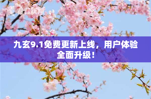 九玄9.1免费更新上线，用户体验全面升级！