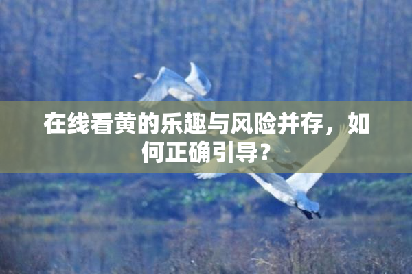 在线看黄的乐趣与风险并存，如何正确引导？