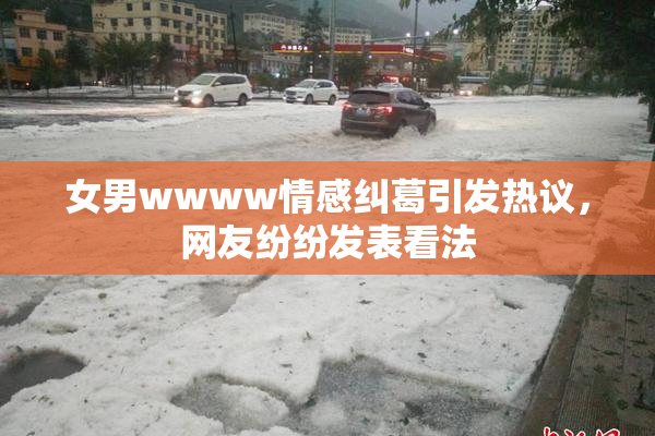 女男wwww情感纠葛引发热议，网友纷纷发表看法