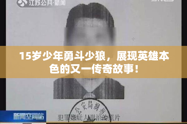 15岁少年勇斗少狼，展现英雄本色的又一传奇故事！