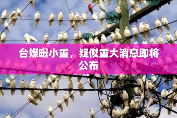 台媒曝小重，疑似重大消息即将公布