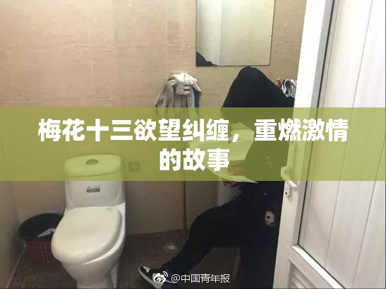 梅花十三欲望纠缠，重燃激情的故事