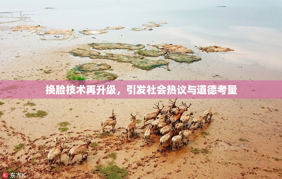换脸技术再升级，引发社会热议与道德考量