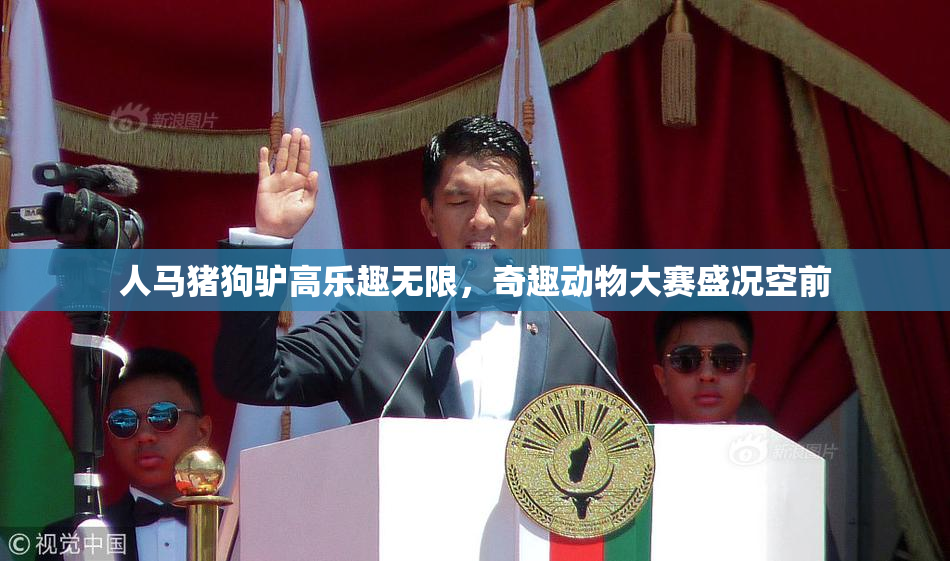 人马猪狗驴高乐趣无限，奇趣动物大赛盛况空前
