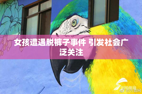 女孩遭遇脱裤子事件 引发社会广泛关注
